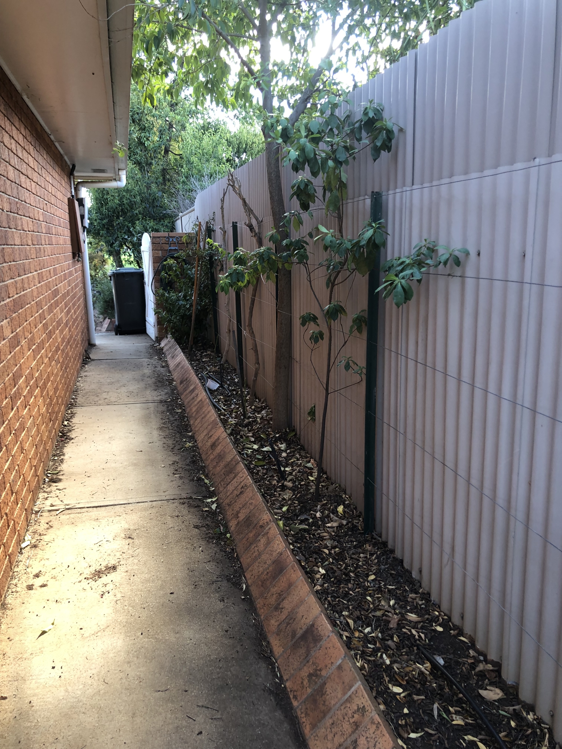 IMG_3860